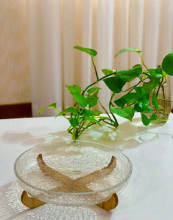 شیرینی خوری آبگز شیشه ترک پایه چوبی (پایه چوبی ضدآب و قابل جدا شدن